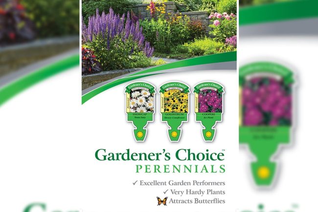 Gardener's Choice Perennials