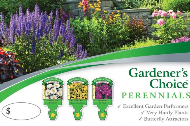 Gardener's Choice Perennials