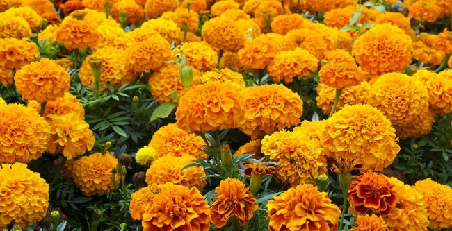 Helping Make Your Business Grow