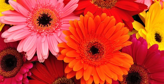 Impressive Quality Products Impressive Quality Products